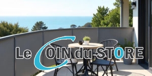 Comment nettoyer mon brise vue