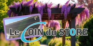 Pergola autoportante ou adossee laquelle choisir