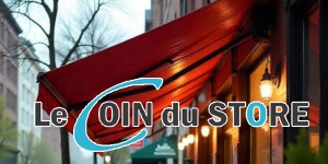 Pourquoi choisir un store banne avec coffre