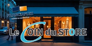 Quelle est la meilleure marque de store banne