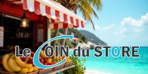 Quelle est la meilleure marque de toile pour store banne