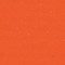 Carotte 502-2172