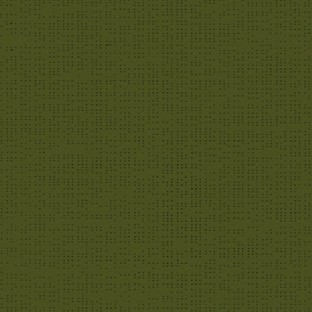 Coléoptère 92-2149