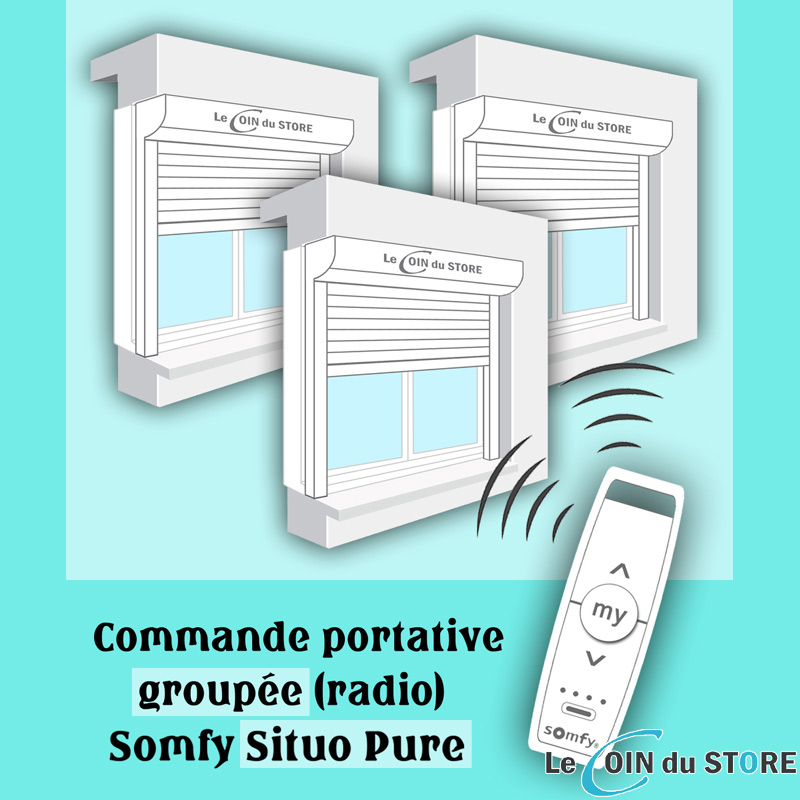 Commande groupée Somfy Situo Pure