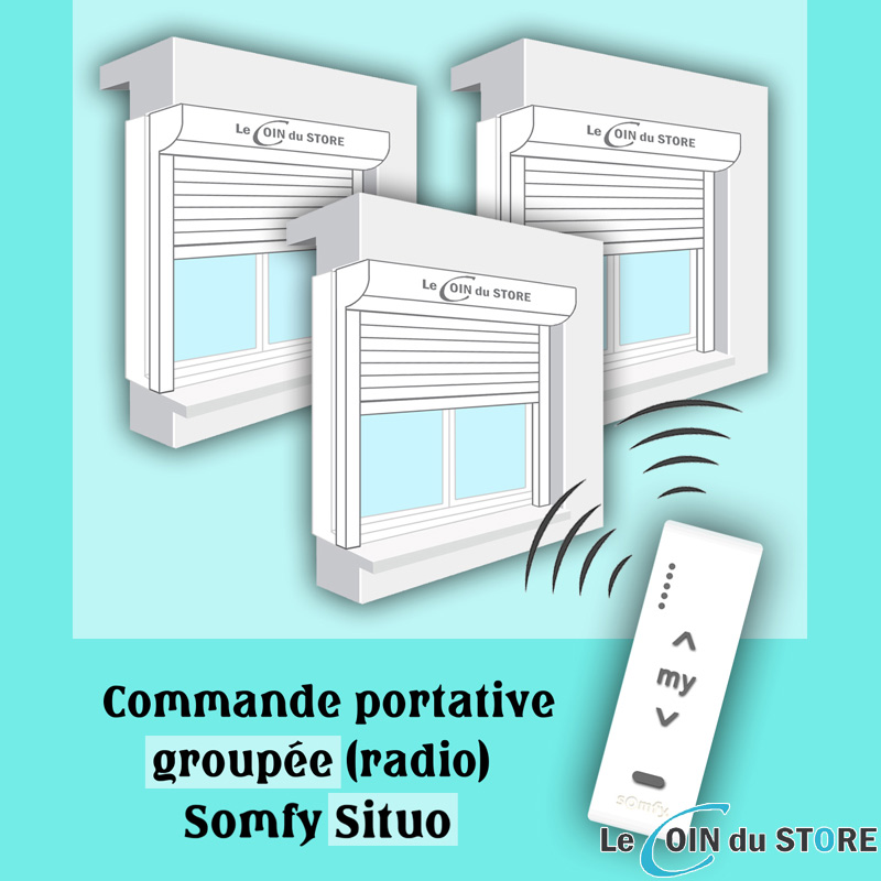 Commande groupée Somfy Situo