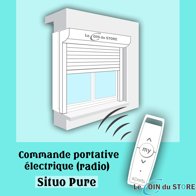 Commande Somfy Situo Pure