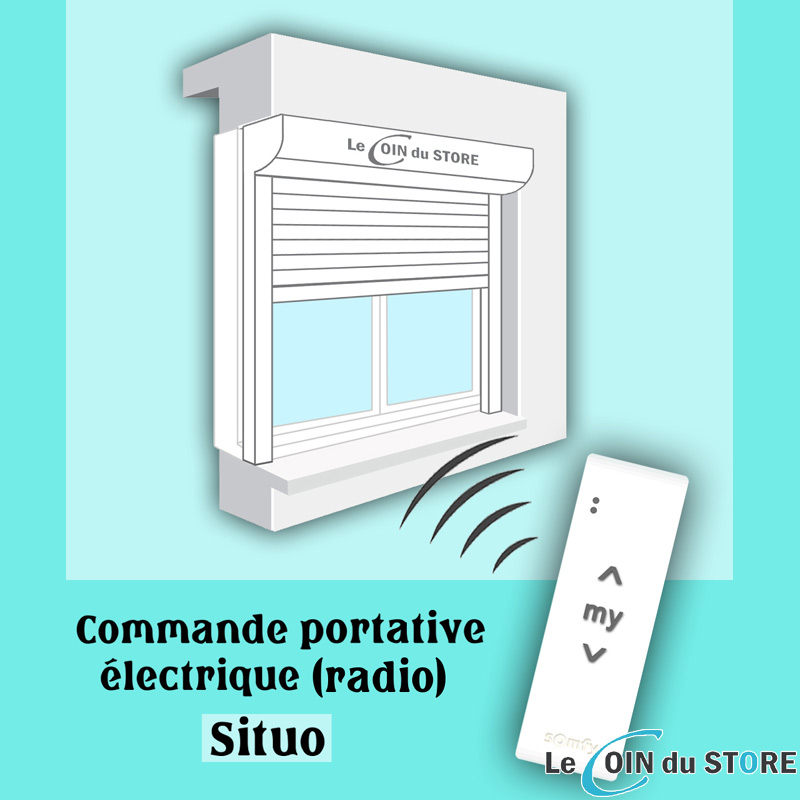 Commande Somfy Situo