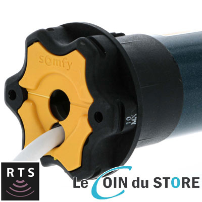 Moteur Radio Technology Somfy RTS